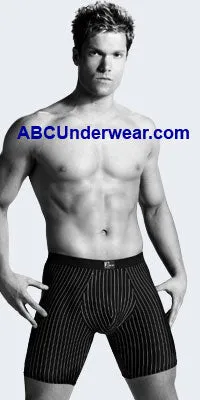 Small Zakk Pinstripe Sport Boxers